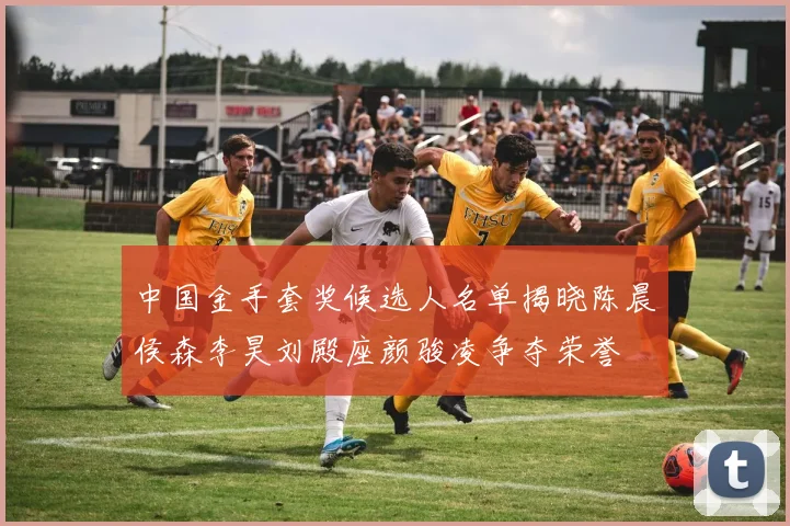 中国金手套奖候选人名单揭晓陈晨侯森李昊刘殿座颜骏凌争夺荣誉