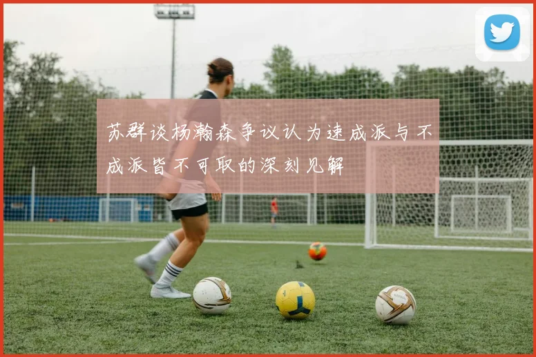 苏群谈杨瀚森争议认为速成派与不成派皆不可取的深刻见解