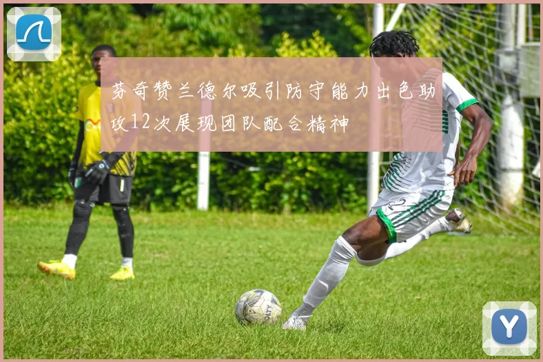 芬奇赞兰德尔吸引防守能力出色助攻12次展现团队配合精神