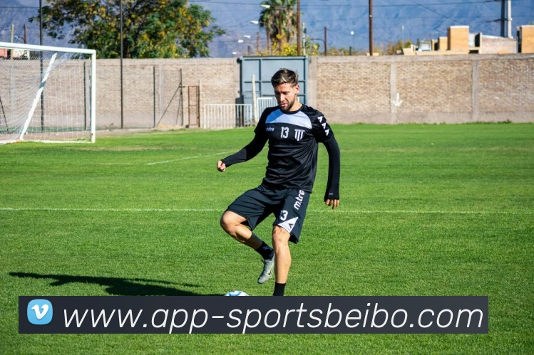 贝博体育平台生态图